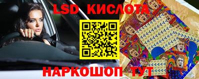 spice Камышлов