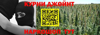 spice Камышлов