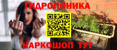 spice Камышлов