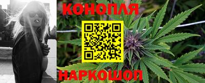 spice Камышлов