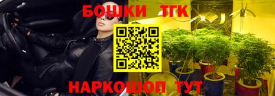 spice Камышлов