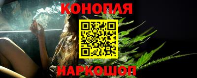 spice Камышлов